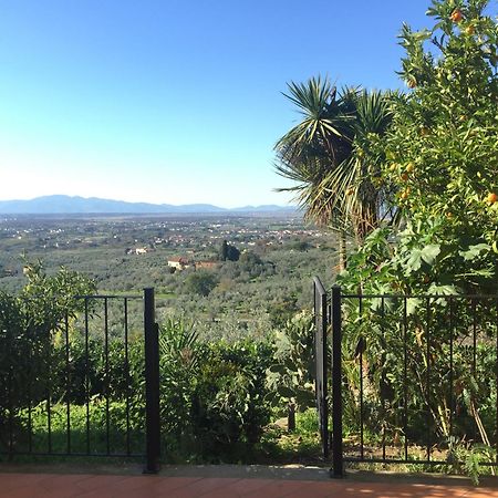Agriturismo Podere Rondinaio ลัมปอเรคคิโอ ภายนอก รูปภาพ