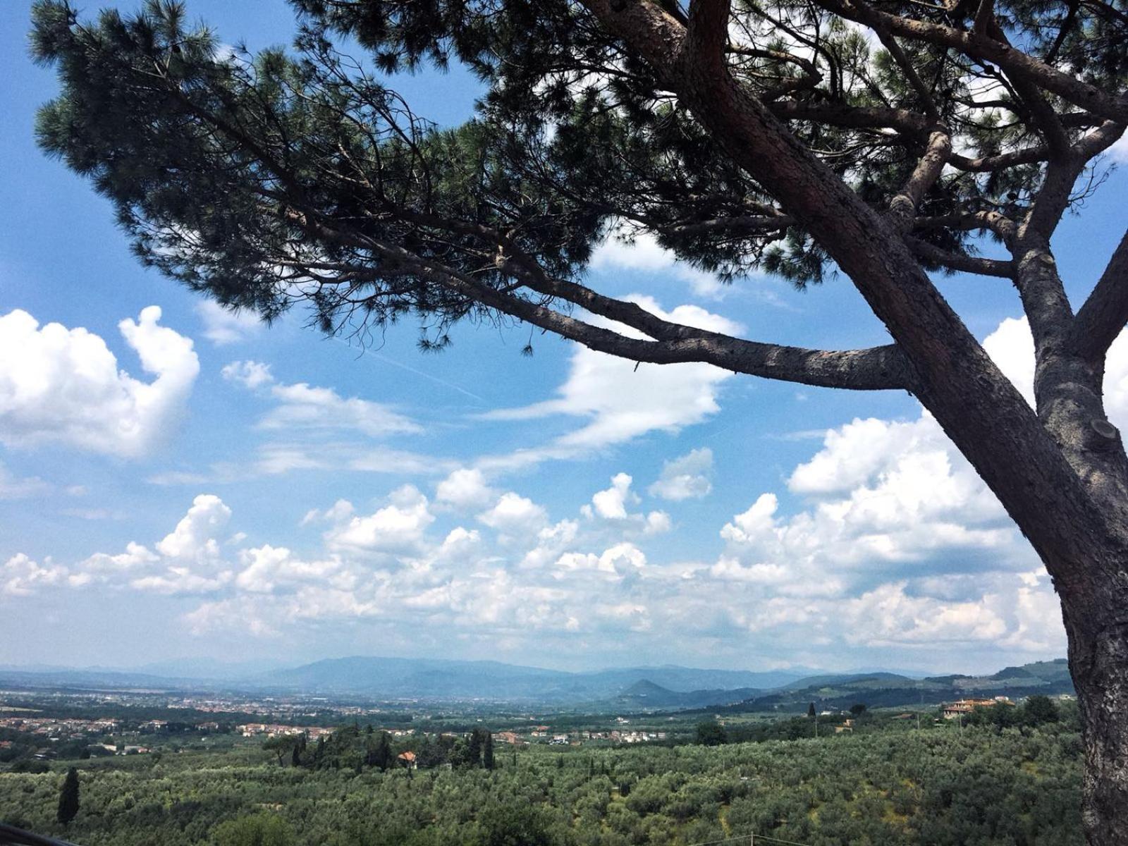 Agriturismo Podere Rondinaio ลัมปอเรคคิโอ ภายนอก รูปภาพ