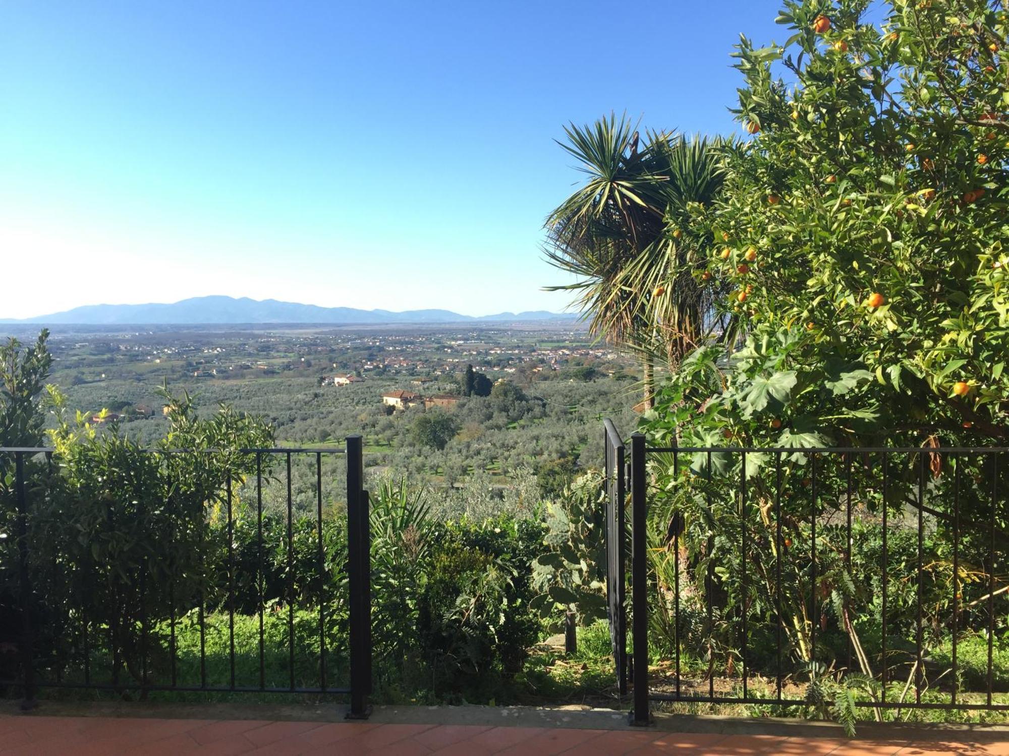 Agriturismo Podere Rondinaio ลัมปอเรคคิโอ ภายนอก รูปภาพ