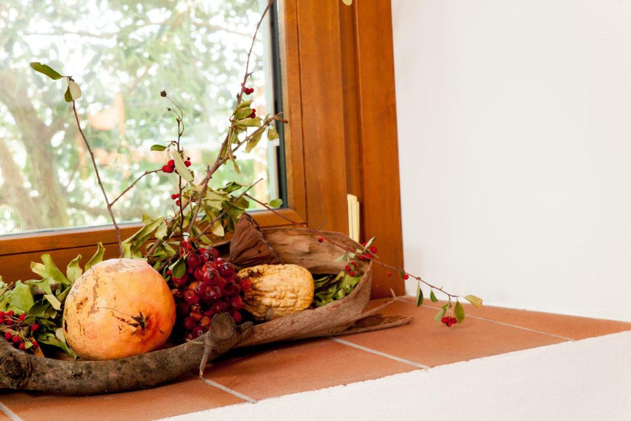 Agriturismo Podere Rondinaio ลัมปอเรคคิโอ ภายนอก รูปภาพ