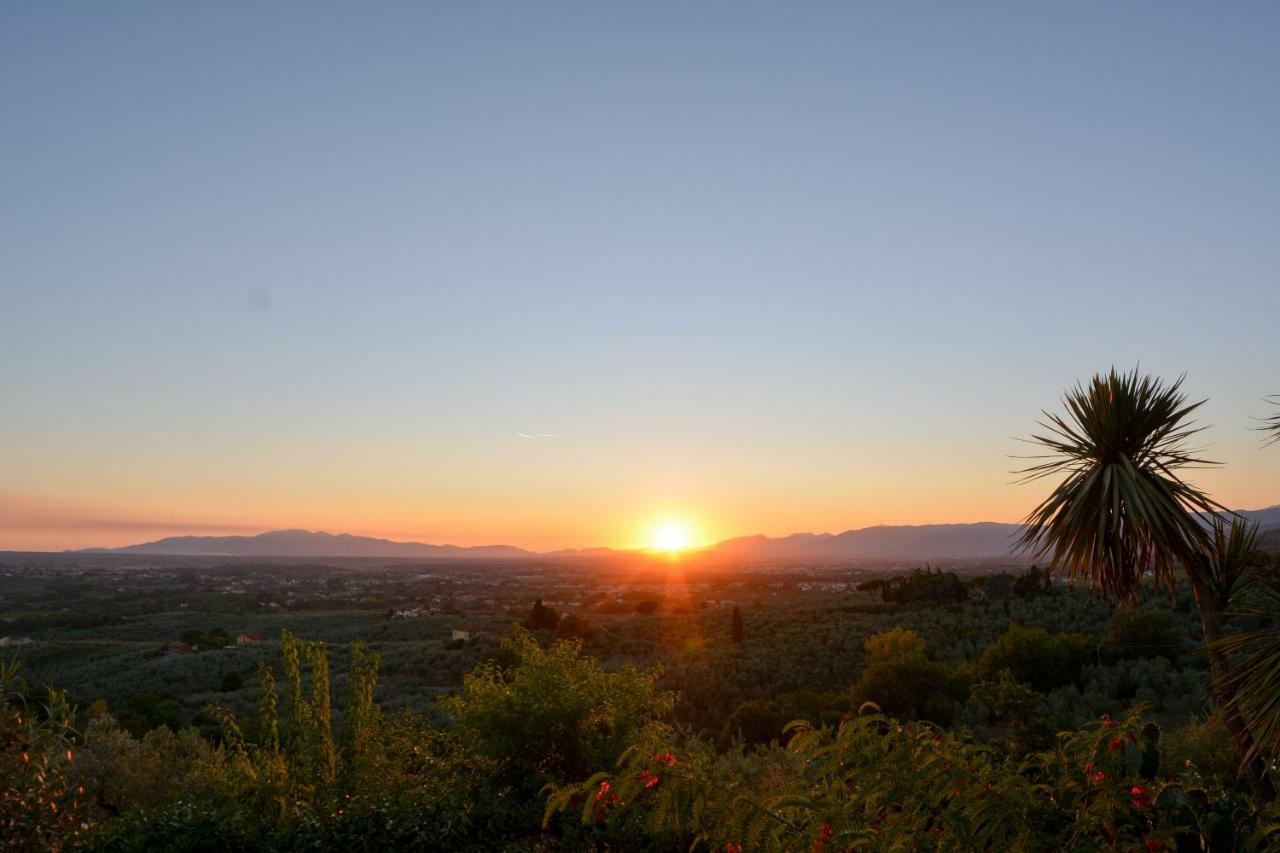 Agriturismo Podere Rondinaio ลัมปอเรคคิโอ ภายนอก รูปภาพ