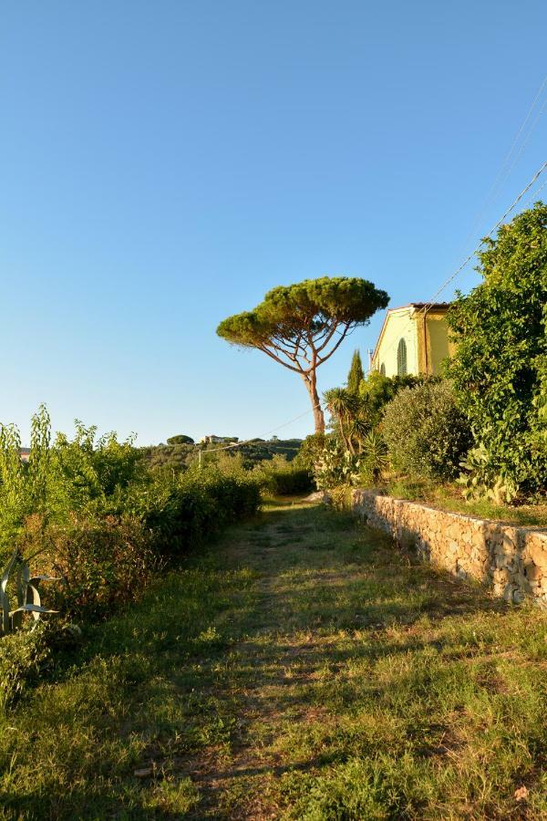 Agriturismo Podere Rondinaio ลัมปอเรคคิโอ ภายนอก รูปภาพ