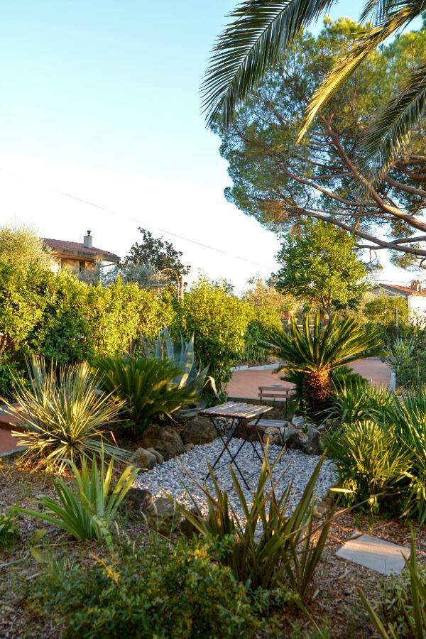 Agriturismo Podere Rondinaio ลัมปอเรคคิโอ ภายนอก รูปภาพ