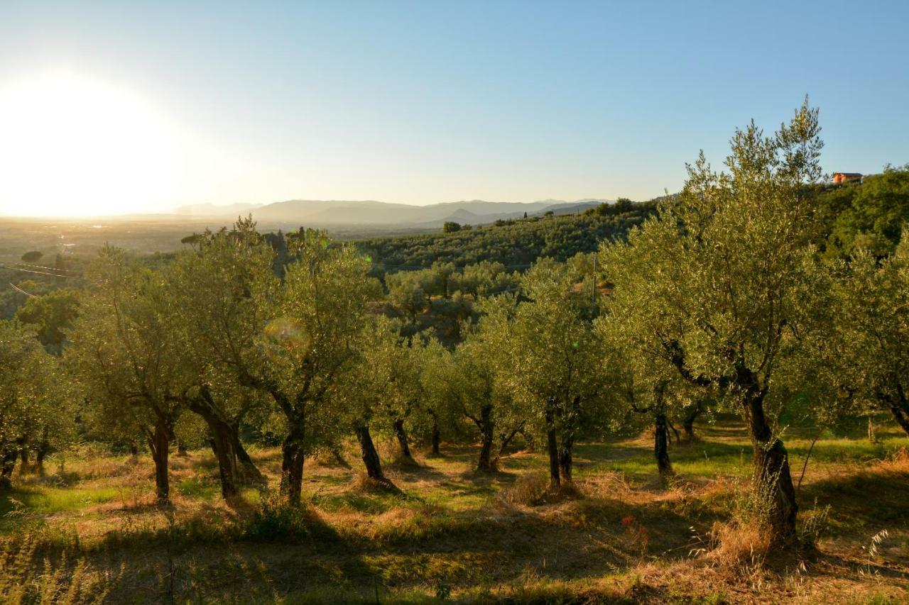 Agriturismo Podere Rondinaio ลัมปอเรคคิโอ ภายนอก รูปภาพ